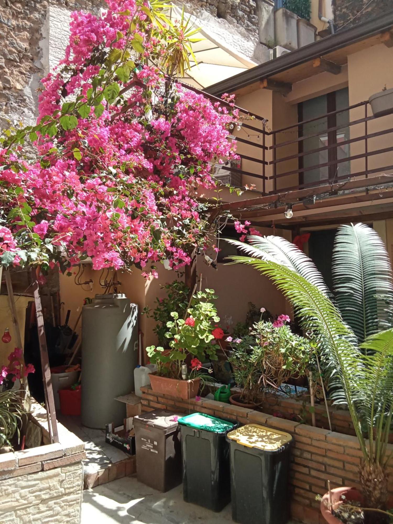 Mizzicahome Solemare CTA Exterior foto
